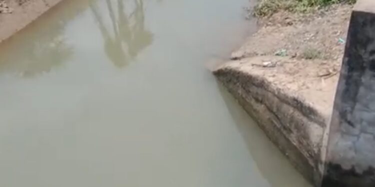 अंतिम छोर तक नहीं पहुंच रहा नहर का पानी