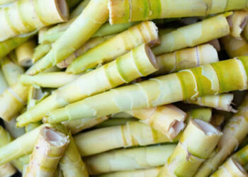 लवन बाजार में खुलेआम बिक रहा प्रतिबंधित करील