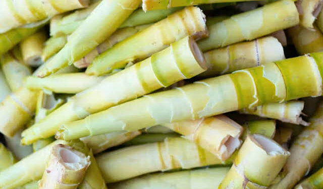 लवन बाजार में खुलेआम बिक रहा प्रतिबंधित करील