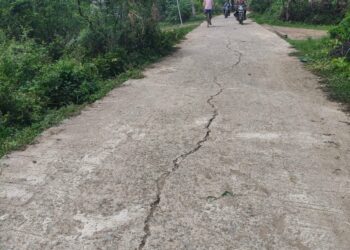 18 लाख की लागत से एक साल पहले बनी सीसी सड़क में पड़ने लगी दरारें