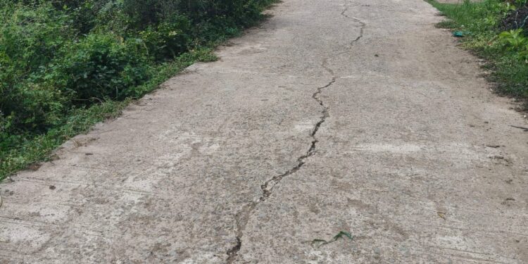 18 लाख की लागत से एक साल पहले बनी सीसी सड़क में पड़ने लगी दरारें