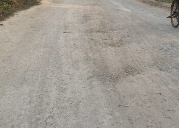 तीन वर्ष में ही प्रधानमंत्री ग्राम सड़क योजना से बनी सड़क का डामर गायब, अब उड़ रहे है धूल, जिम्मेदार विभाग का ध्यान नहीं