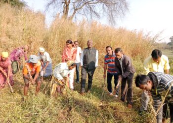 सकरी पंचायत में मनरेगा का कार्य प्रारंभ