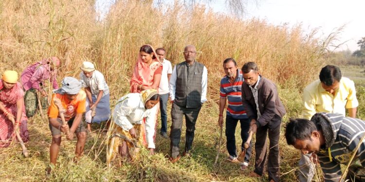 सकरी पंचायत में मनरेगा का कार्य प्रारंभ