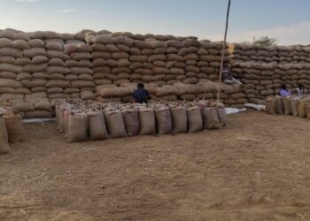 22 दिनों में एक लाख बीस हजार क्वींटल धान की खरीदी, केन्द्रो से धान का उठाव शुन्य