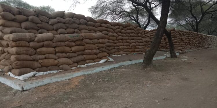 खरीदी की लिमिट बढ़ाई गई, लेकिन धान उठाव की समस्या अभी भी बरकरार