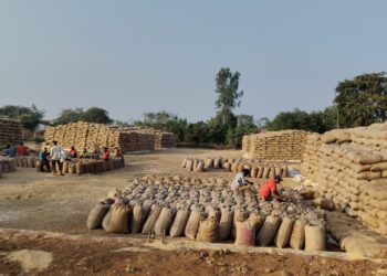 समिति केन्द्रों में बफर लिमिट से दो गुना अधिक धान, समिति प्रबंधकों में चिंता की लकीरे