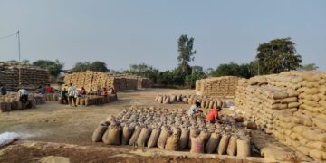 समिति केन्द्रों में बफर लिमिट से दो गुना अधिक धान, समिति प्रबंधकों में चिंता की लकीरे