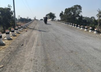 नवनिर्मित पुल के लिए बनाई गई सड़क में बरती गई घोर अनियमितता