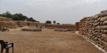 खुले आसमान के नीचे रखी किसानों से खरीदी की गई हजारों क्वींटल धान, परिवहन सुस्त