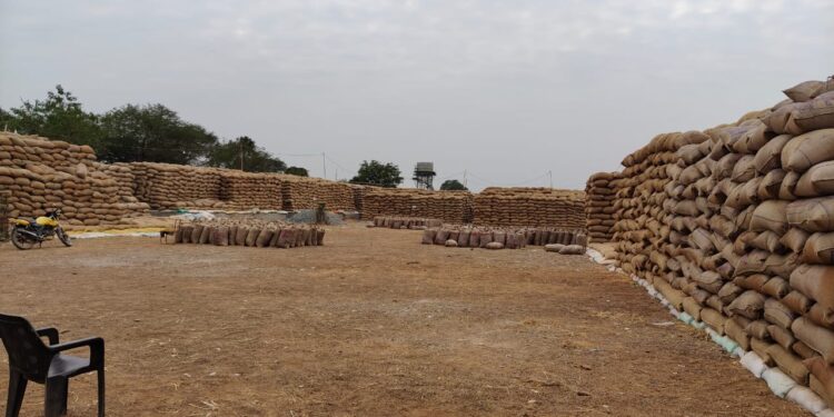 खुले आसमान के नीचे रखी किसानों से खरीदी की गई हजारों क्वींटल धान, परिवहन सुस्त 