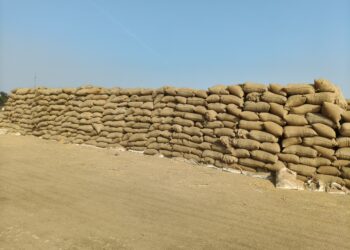 पिछले वर्ष की तुलना में इस वर्ष 27 हजार क्वींटल कम हुई धान की खरीदी