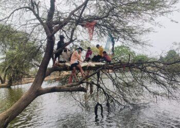 भीषण गर्मी में युवकों का देशी जुगाड़, पेड़ में बना लिये मचान
