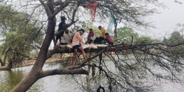 भीषण गर्मी में युवकों का देशी जुगाड़, पेड़ में बना लिये मचान
