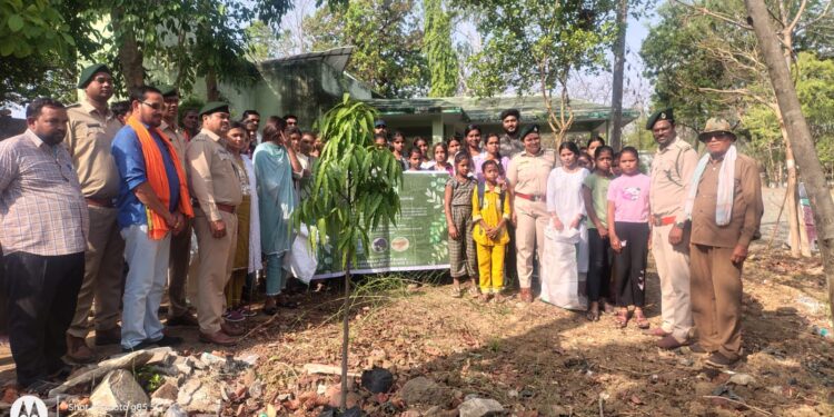 धमनी में छात्र छात्राओं को बताया गया पेड़ पौधों का महत्व 