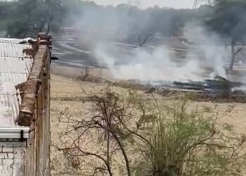 नरवाई जलाने पर प्रशासन नहीं कर रहा कार्रवाई 